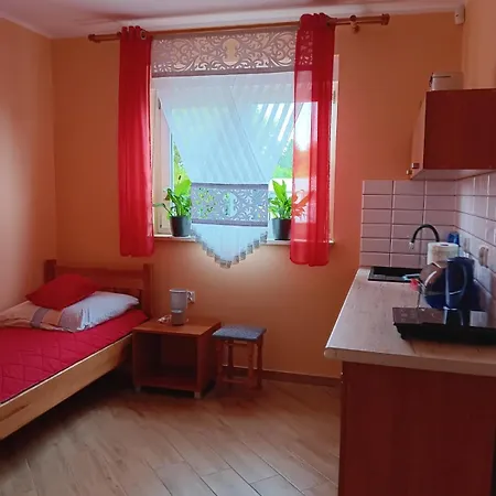 Gasthuis U Blizniakow Goscinne 3*